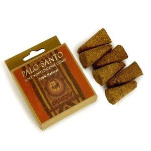 Palo Santo Cinnamon Incense Cones Protection Purification Spirituality 6 in 1 Pc